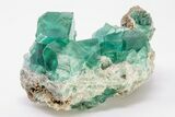 Cubic, Green Zoned Fluorite Crystals on Quartz - China #197168-1